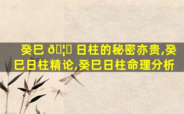癸巳 🦍 日柱的秘密亦贵,癸巳日柱精论,癸巳日柱命理分析